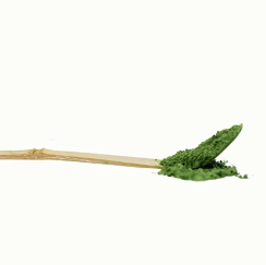 MATCHA spoon