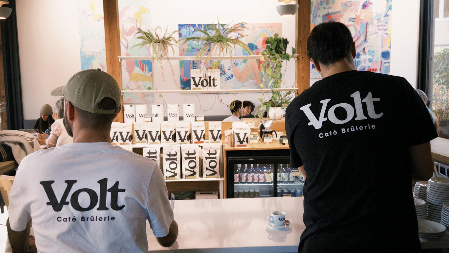 Black t-Shirt Volt 2025