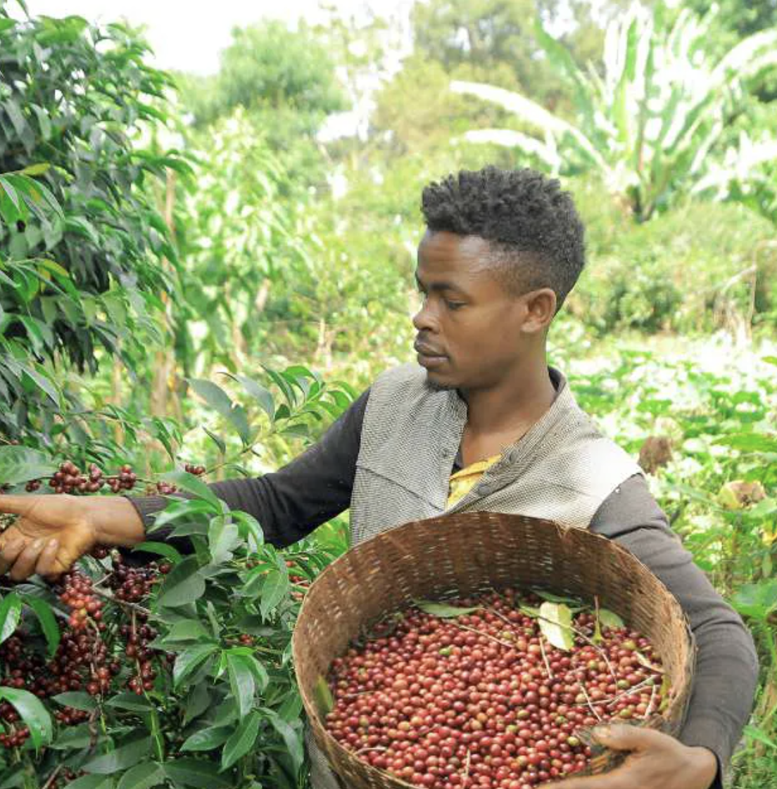 ETHIOPIE · BENTI NENKA