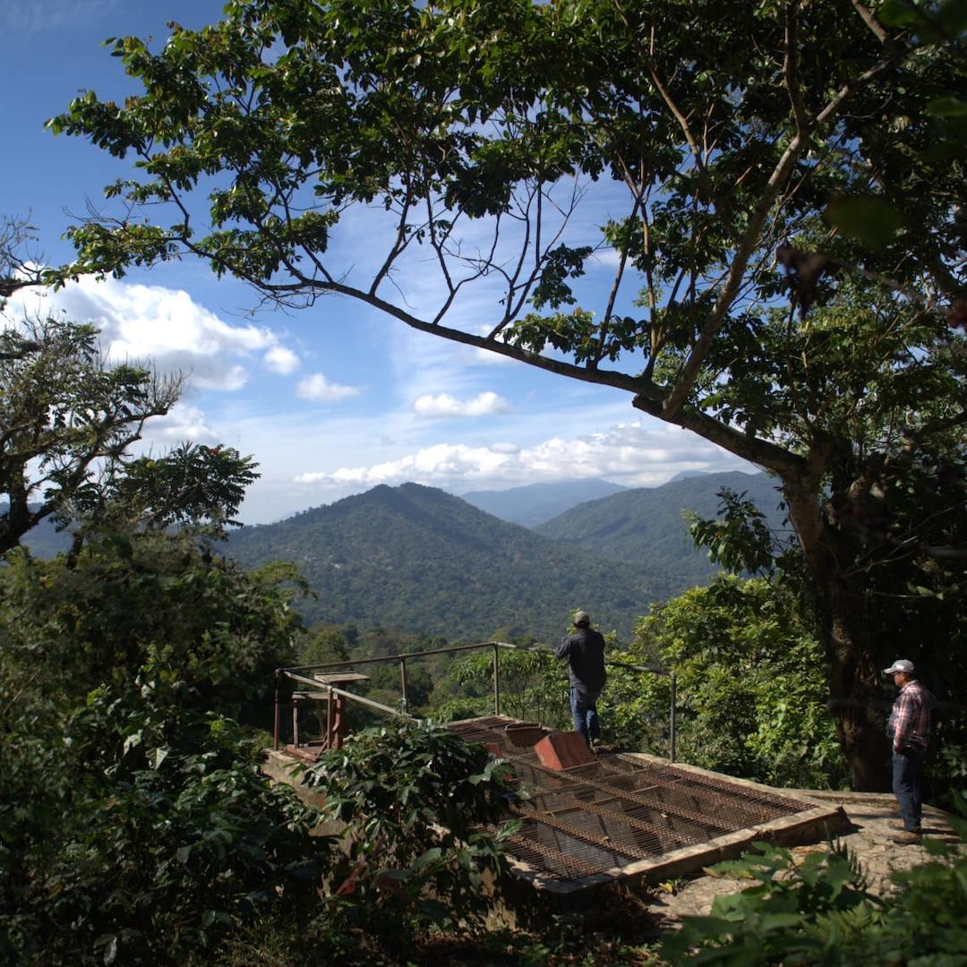 MEXIQUE · DÉCAFÉINÉ SANTA FÉ