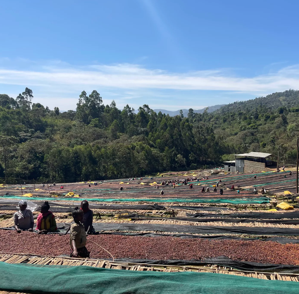 ÉTHIOPIE · SHANTAWENE