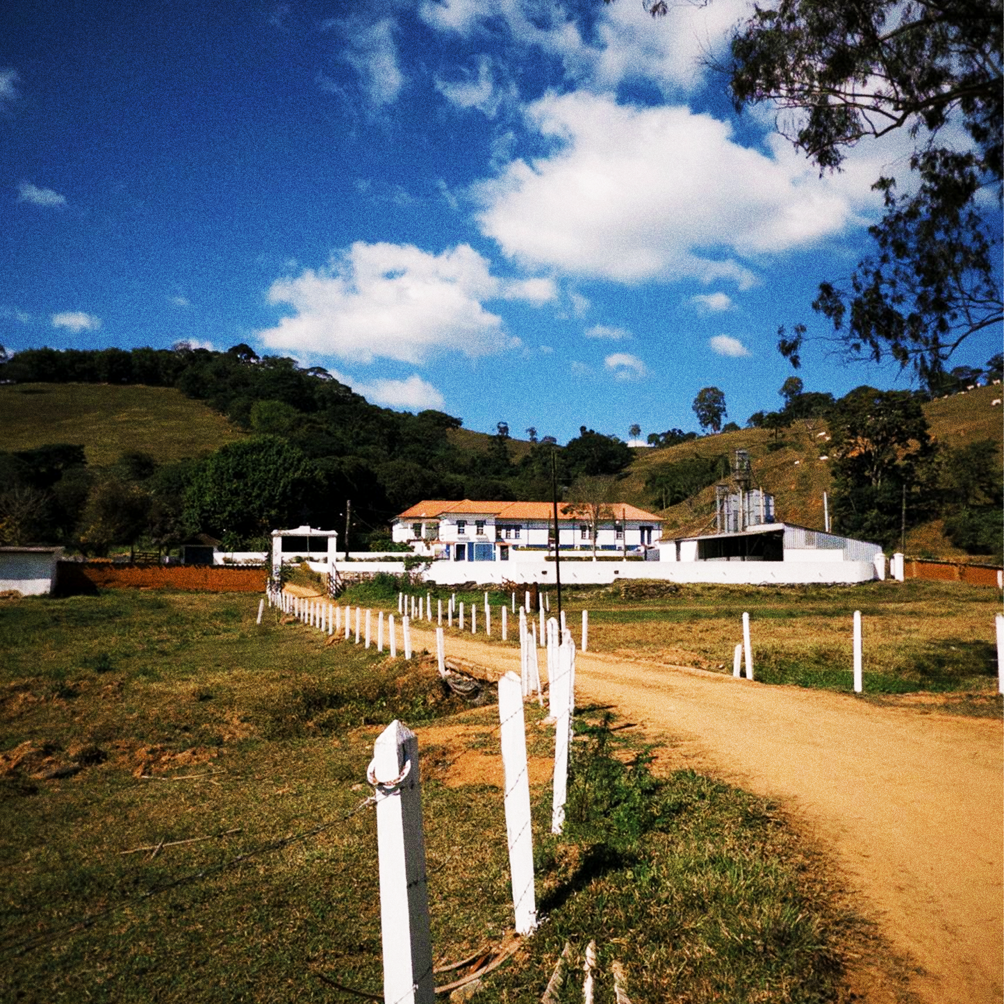 BRÉSIL · MICRO-LOT