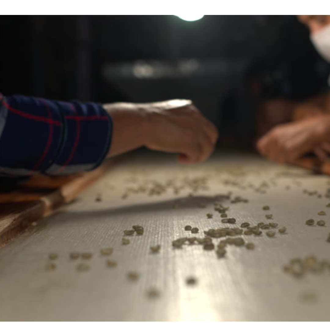 MEXIQUE · DÉCAFÉINÉ SANTA FÉ
