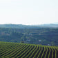 BRAZIL - MANTIQUEIRA DE MINAS - FAZENDA ENGENHO
